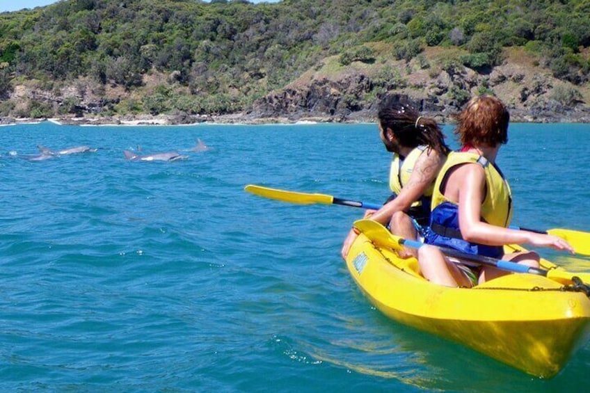 3 Hour Rainbow Beach Sea Kayak with Dolphins & 4x4 Beach Drive