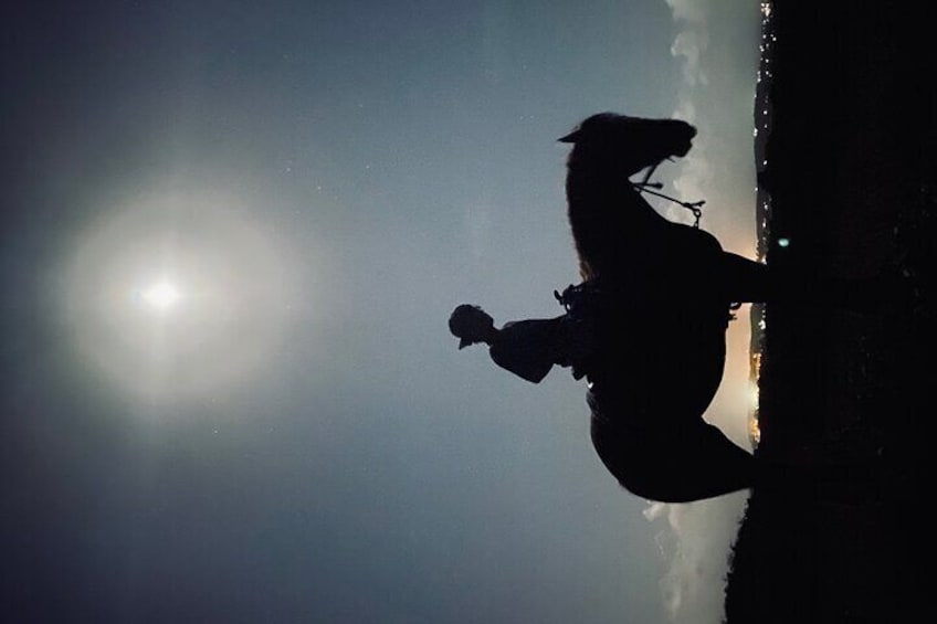 Our fullmoon rides come complete with silhouette photos 