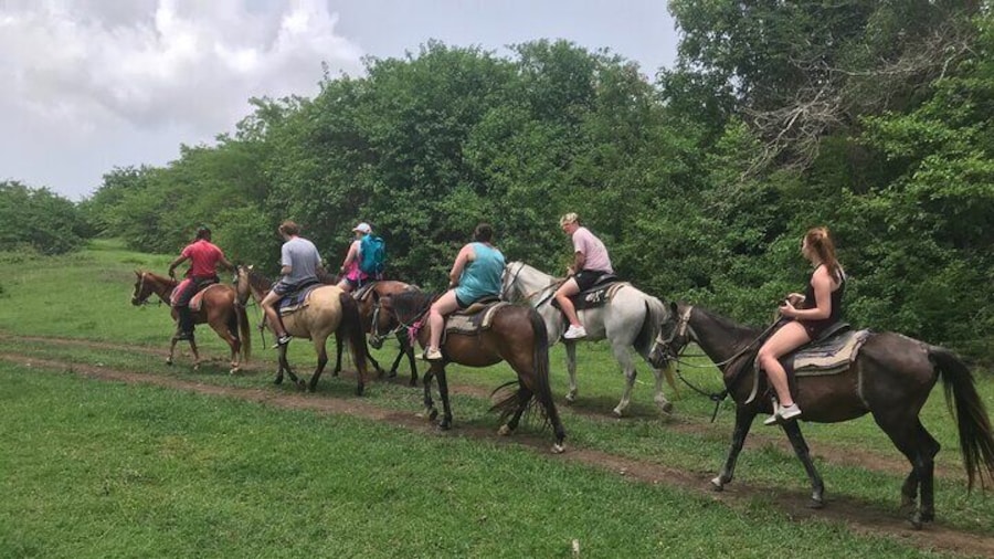 Our groups range from 2-10 people on average