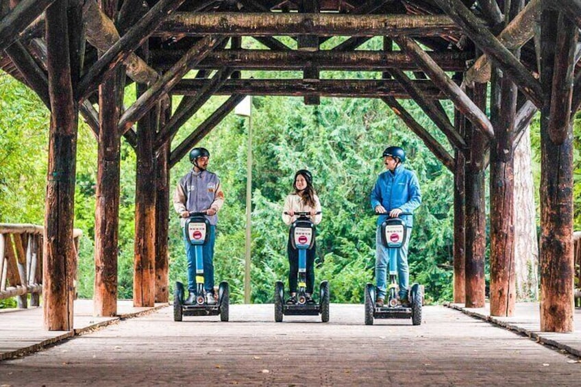 Segway Grand Tour of Lyon - 2-hours