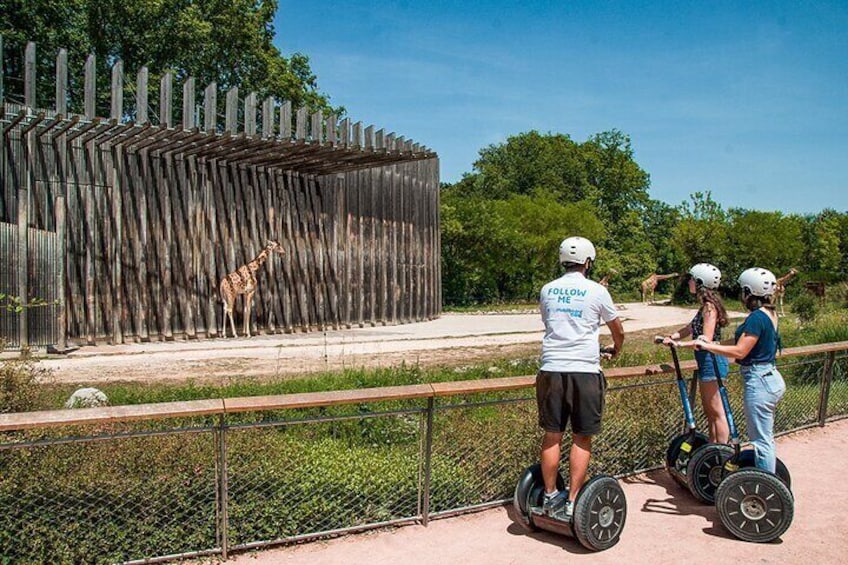 Segway Grand Tour of Lyon - 2-hours