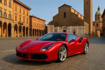 Full-Day Private Tour to the Ferrari World with Lunch