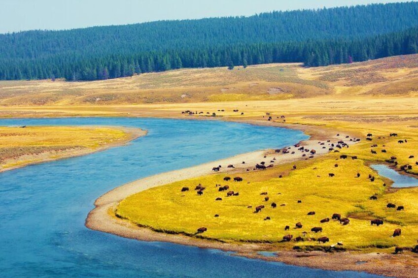 3-Day Yellowstone National Park Tour from Salt Lake City