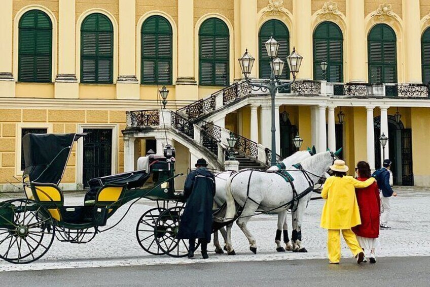 Guided Walking Tour of Schonbrunn Palace in Vienna