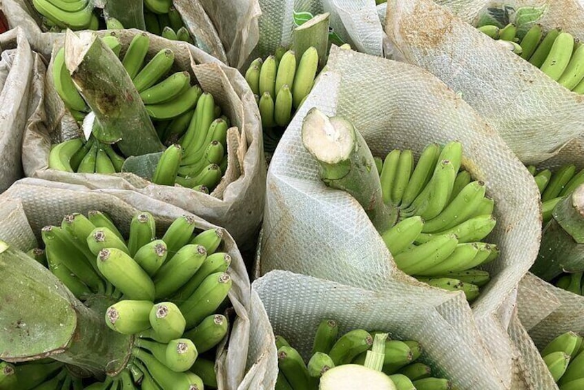 Ecological Banana Plantation Tour