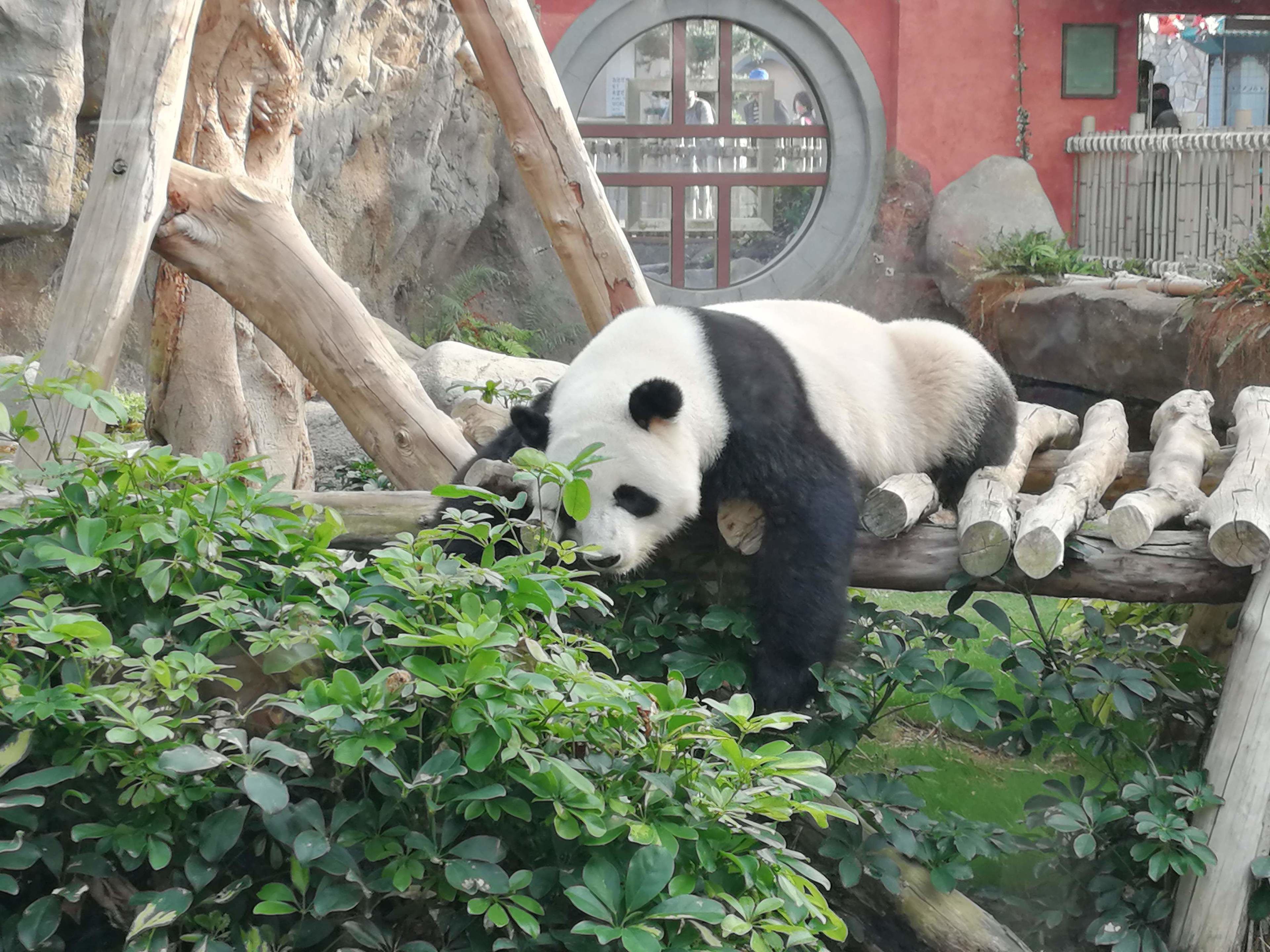 Beijing Zoo