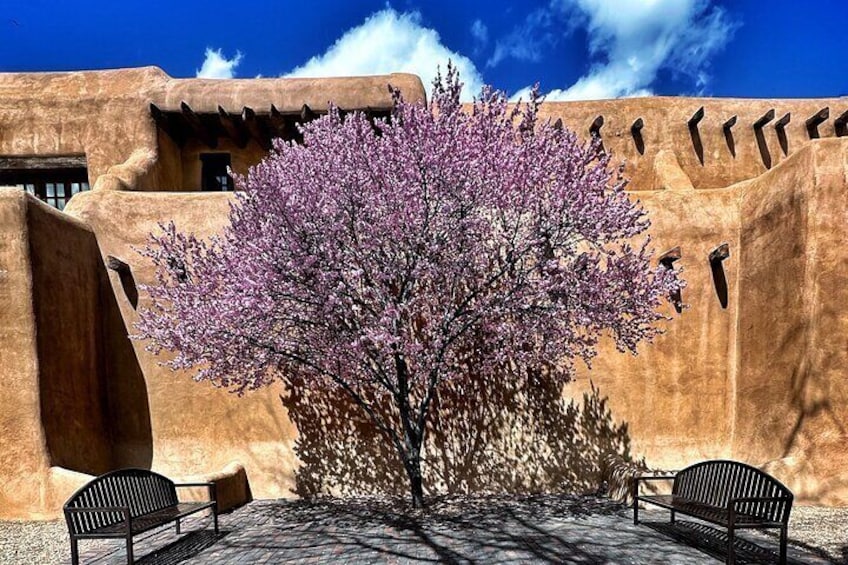 2-Hour Photography Class While Touring Downtown Santa Fe, Smart Phones Welcome!