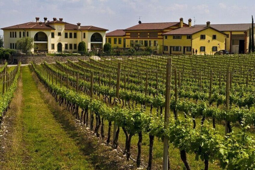 From Verona: Sirmione & Lake Garda day tour with wine tasting