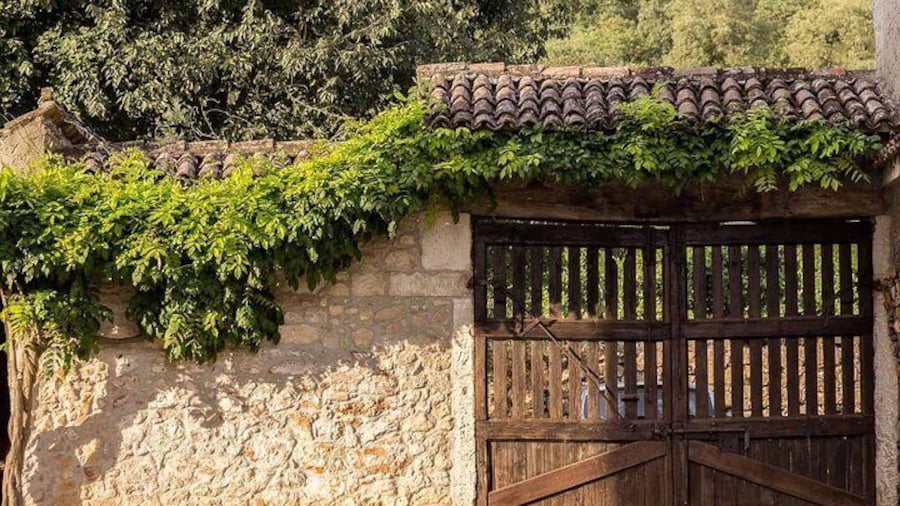 From Verona: the prosecco wine tour