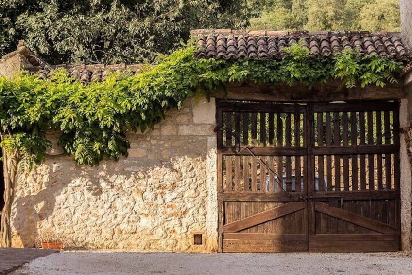 From Verona: the prosecco wine tour