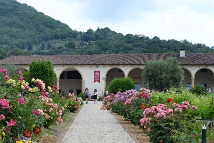 From Verona: the prosecco wine tour