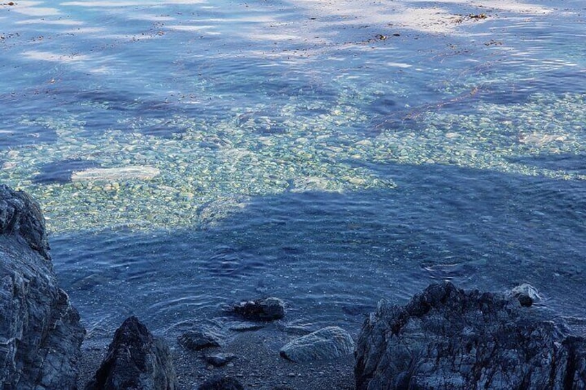 The clarity of the Beagle Channel on the Ruta de la Centolla