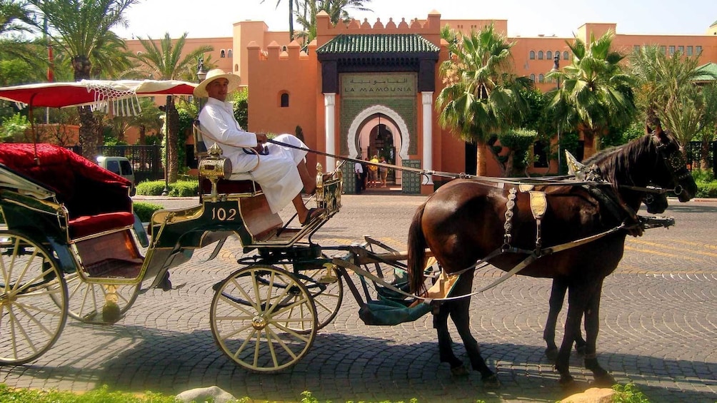 man driving a horse drawn carriage in Marrakech