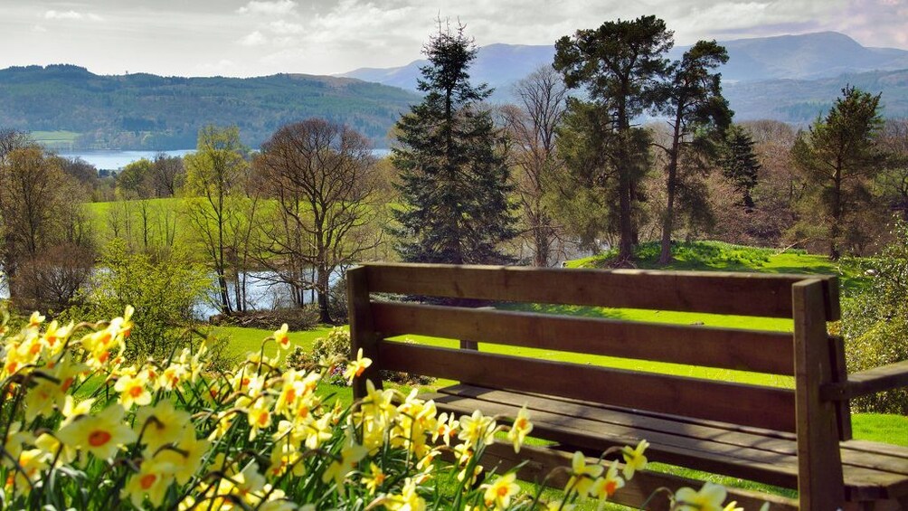 bench with lake view