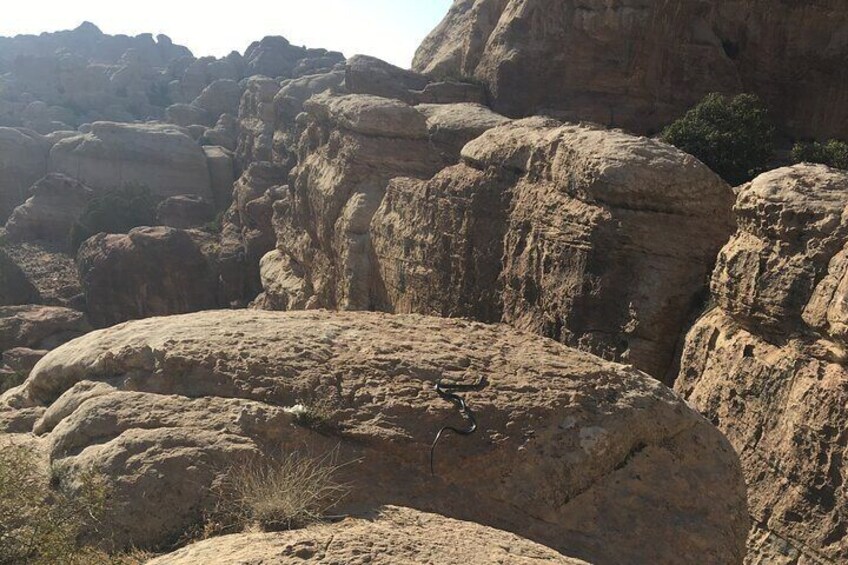 Shaq Al Reesh - Hiking Among Unique Rock Formations