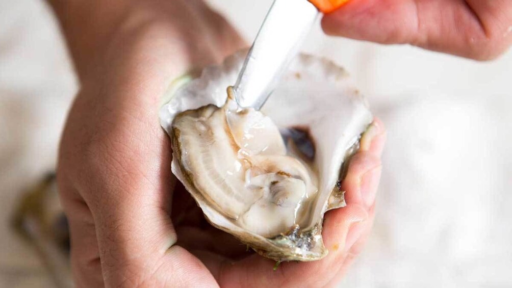 Show item 5 of 5. cooking with oysters in Australia