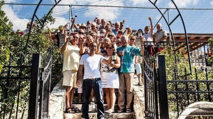 Wine Tasting and Winery Tour in Lemona Village, Paphos