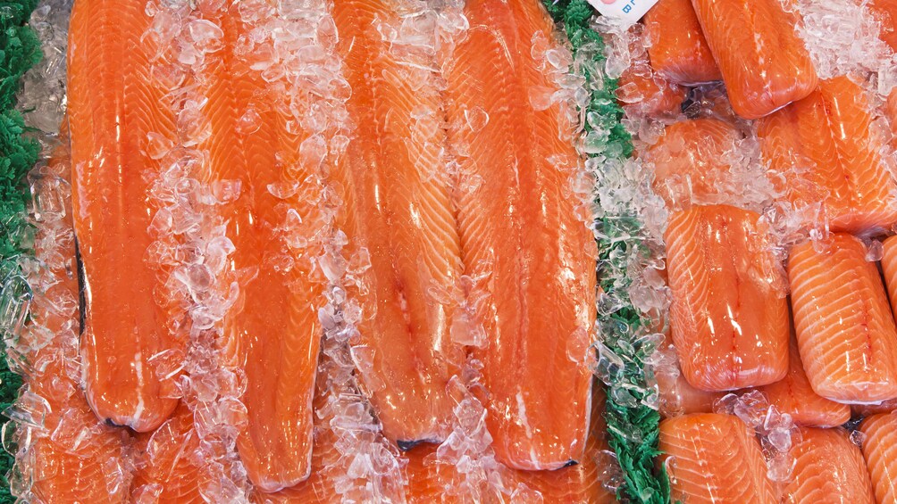 fresh salmon filets
