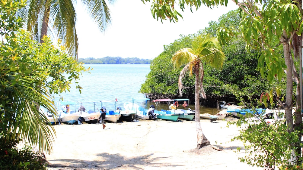 Show item 2 of 8. Boats on the beach of a lake