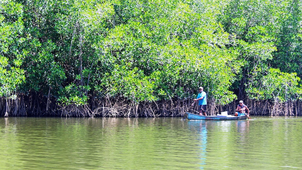 Manialtepec Lagoon Tour in Mexico 