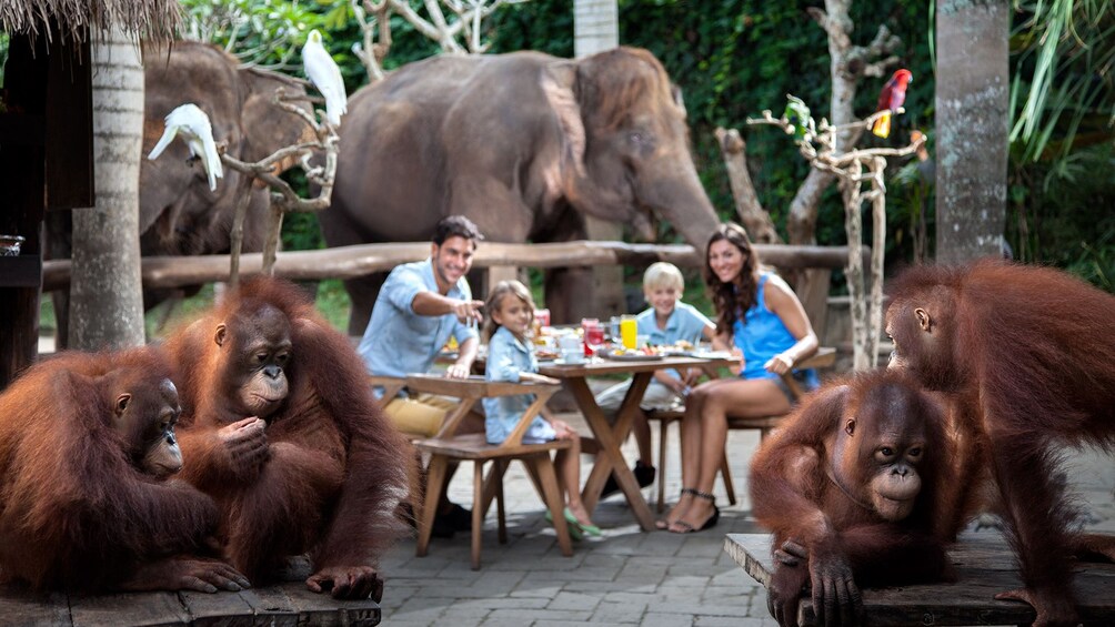 family enjoying animals at zoo