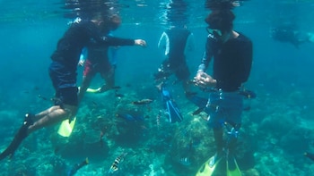 Mantanani Island Day Trip