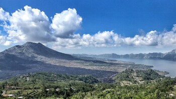 Full-Day Tour to Ubud & Kintamani Highlands