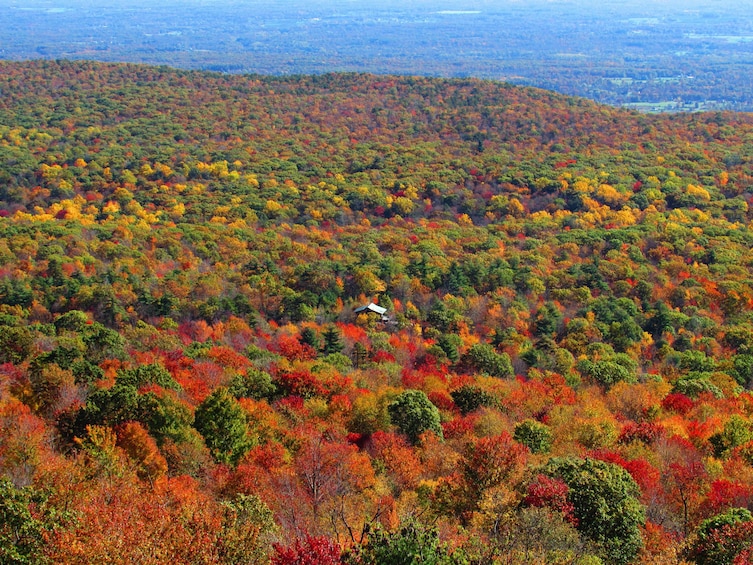 Hudson Valley Fall Foliage Helicopter Tour from Westchester