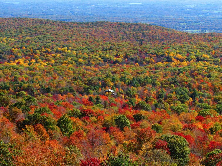 Hudson Valley Fall Foliage Helicopter Tour from Westchester