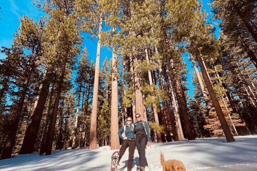 Scenic Snowshoe Tour in South Lake Tahoe, CA