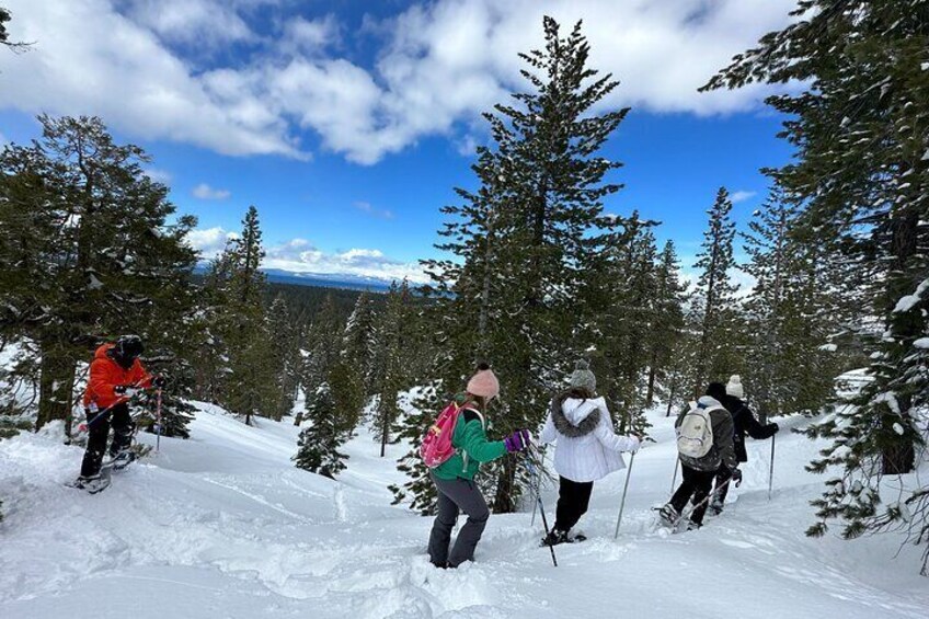 Scenic Snowshoe Adventure in South Lake Tahoe, CA