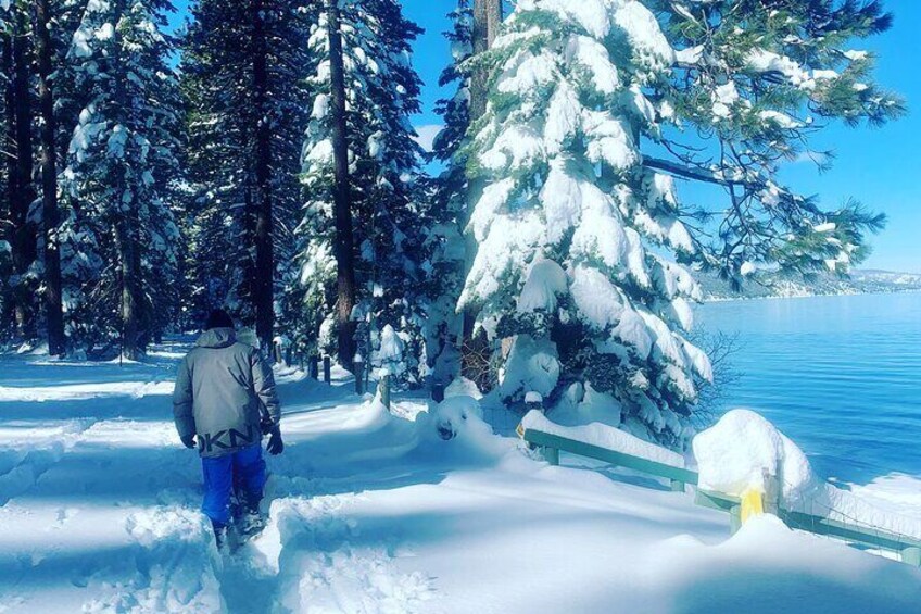 Scenic Snowshoe Tour in South Lake Tahoe, CA