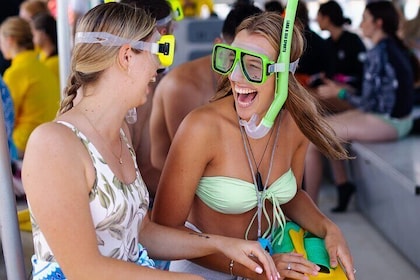 Dolphin & Tangalooma Wrecks Snorkel Day Cruise & Lunch - Brisbane