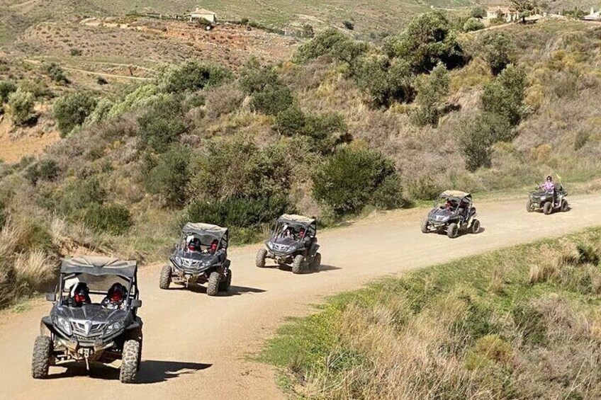 2 Hours Buggy Safari Experience in the Mountains of Mijas with Guide