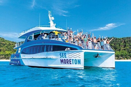 All-Inclusive Dolphin & Tangalooma Wrecks Day Cruise (Gold Coast Transfer)