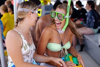 Dolphin & Tangalooma Wrecks Snorkel Day Cruise from Gold Coast