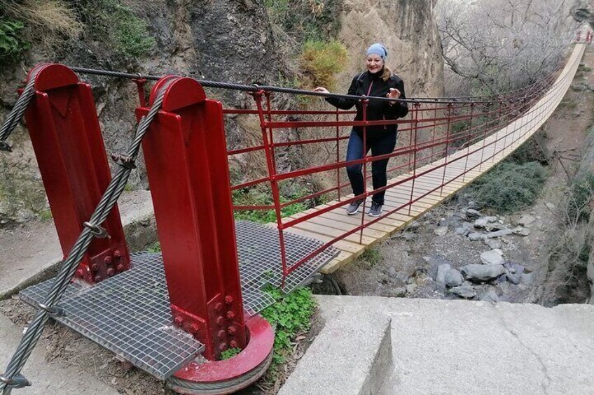 Hanging bridges