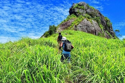 Ceylon Backpacker Tour - 3N/4D