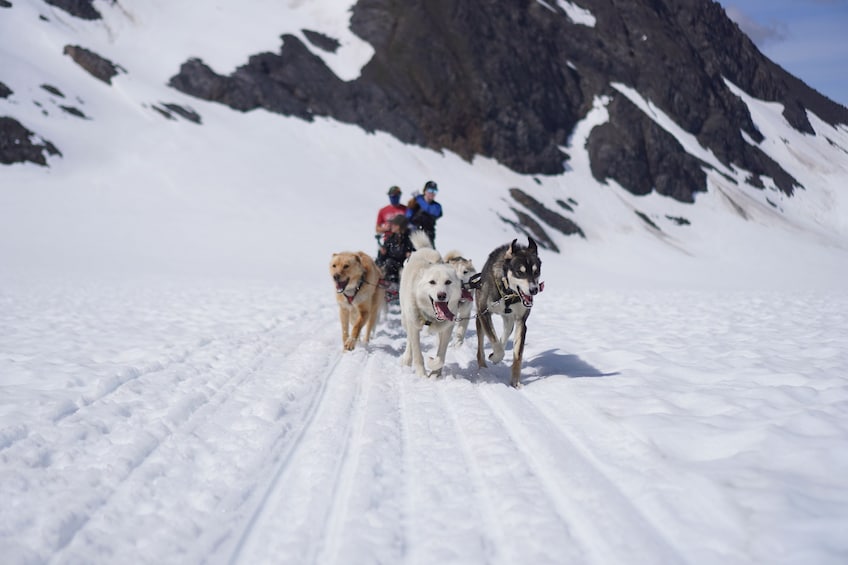 Helicopter Flight & Glacier Dog Sledding Tour