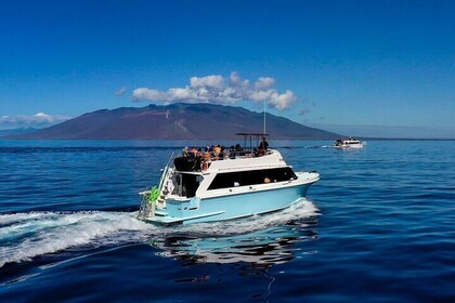 Maui Snorkeling Molokini Crater Uncrowded, Unhurried.