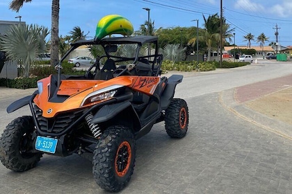 Action-Packed Half Day Aruba UTV Tour and Cave Pool