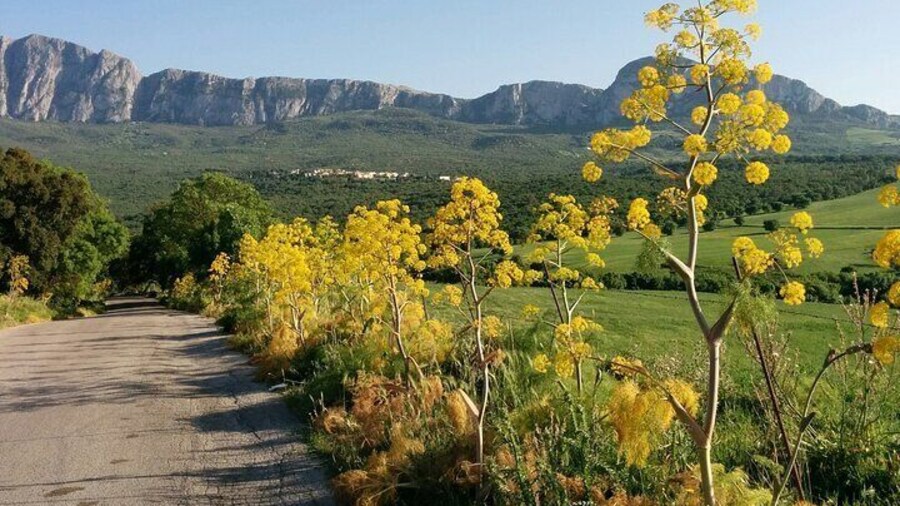 Paesaggio dei corleonese