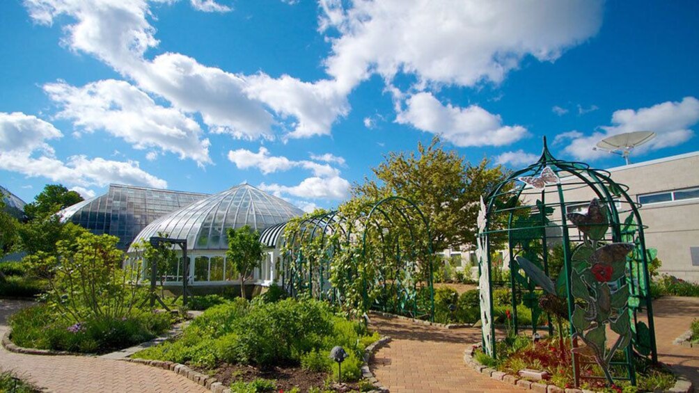 Carregar foto 2 de 8. Phipps Conservatory in Pittsburgh