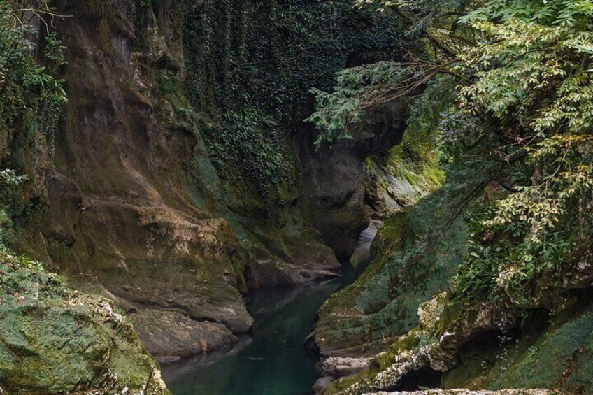 Canyons and Cave Tour from Batumi
