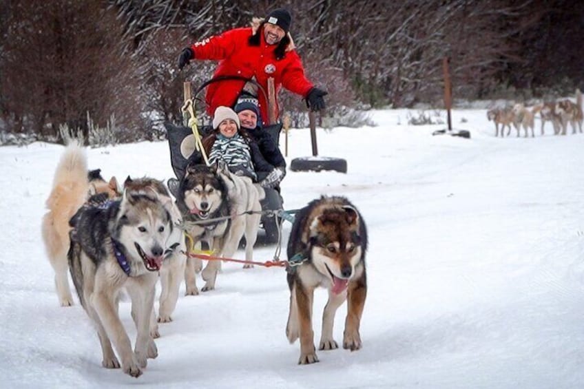 Winter in Ushuaia: Snowshoes, Snowmobile and Sleigh Rides