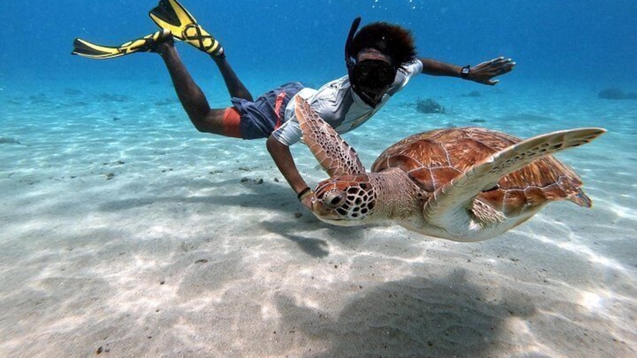 My friends in the water!