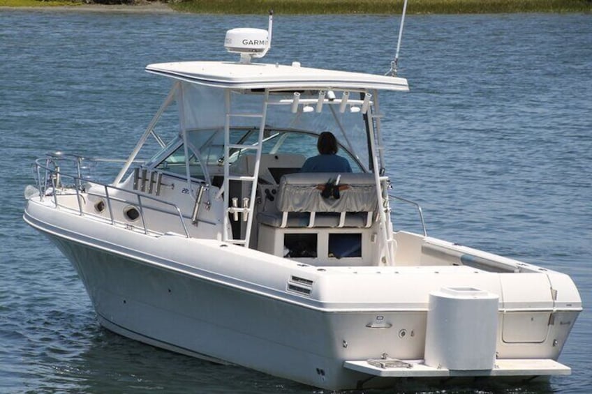 4 Hour Fishing Charter with Rods, Reels, Boat and Captain for up to 4 People