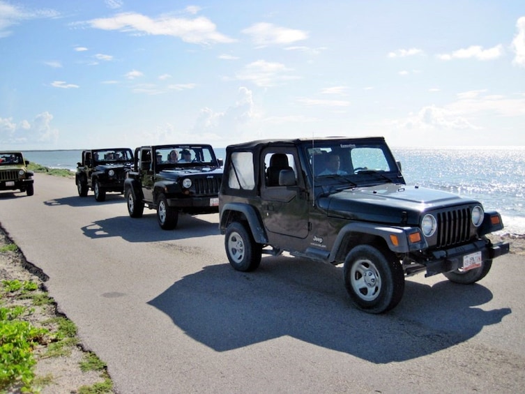 Cozumel Jeep Discovery Tour with Snorkeling & Dolphin Moment