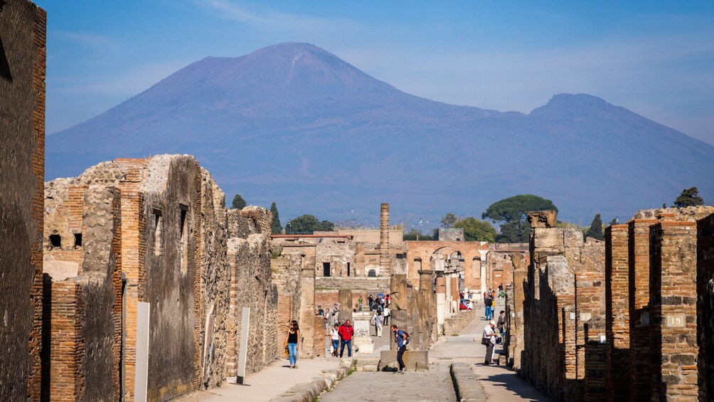 Skip-the-Line Pompeii & Vesuvius Tour: Day Trip Back in Time