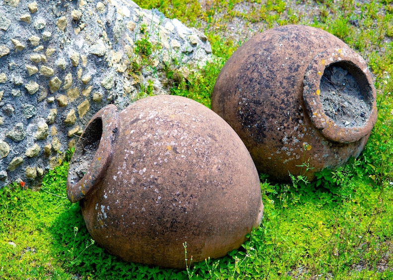 Pompeii Day Trip from Rome with Mount Vesuvius or Amalfi Coast option